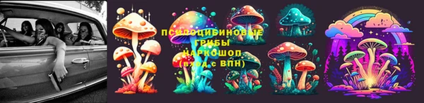 стафф Липки