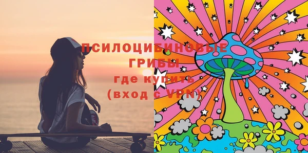 Альфа ПВП Майский