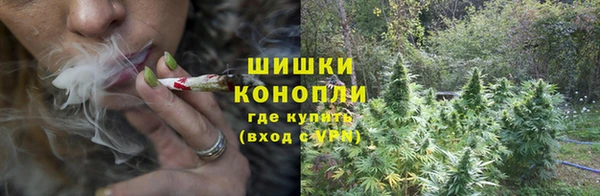 Альфа ПВП Майский