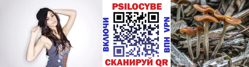это клад  Нариманов  Галлюциногенные грибы MAGIC MUSHROOMS 